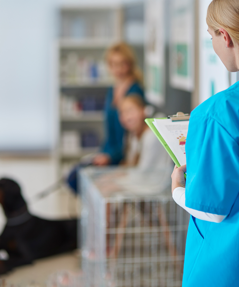 Karussel_Wir_loesen_Ihre_Probleme_02